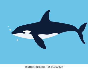 Killer Whale in Blue Water - Vector Graphic