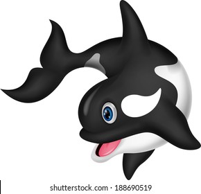 killer whale cartoon 