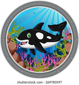 killer whale cartoon