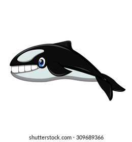 Killer Whale cartoon