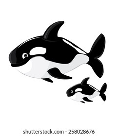 Killer whale cartoon vector
