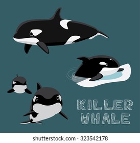 Killer Whale Cartoon Vector Illustration