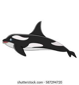 Killer Whale cartoon vector illustration