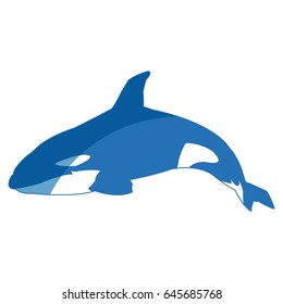 killer whale cetacea, animal, aquatic animals orca illustration, vector