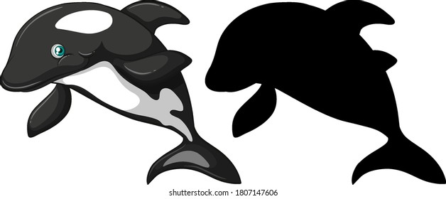 Killer whale characters and its silhouette on white background illustration
