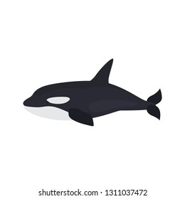Killer whale color vector icon. Flat design