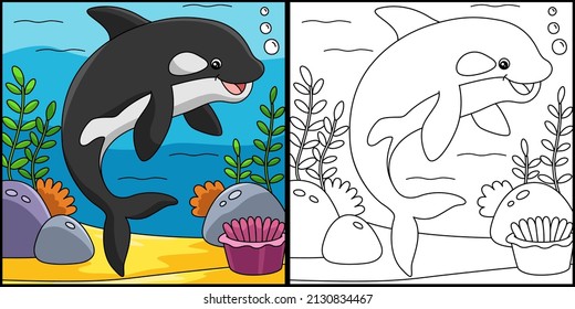 Killer Whale Coloring Page Colored Illustration