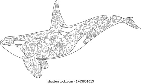 Killer whale coloring page vector illustration, Zentangle animal outline, Sea animal ornament corals and shells