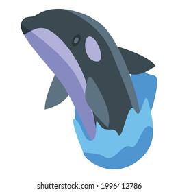 Killer whale dangerous icon. Isometric of Killer whale dangerous vector icon for web design isolated on white background