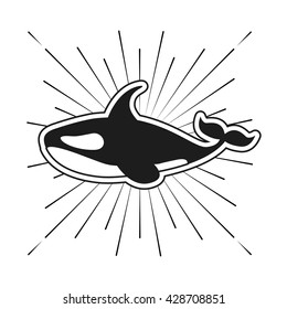 killer whale design 