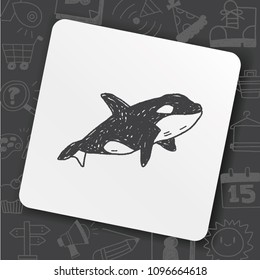 Killer Whale doodle