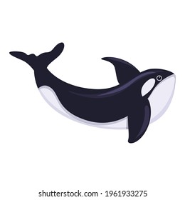 Killer whale fish icon. Cartoon of Killer whale fish vector icon for web design isolated on white background