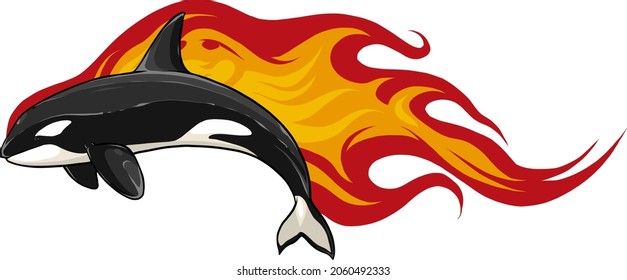 killer whale with flames vector illustration design