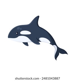 Killer whale funny vector icon image