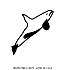 Killer Whale Glyph Icon, Vector illustration