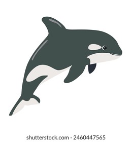 killer whale hand drawing illustration on white background