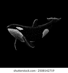 Vector de dibujo a mano de la ballena asesina aislado sobre fondo negro.