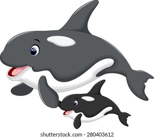 Killer whale and her son