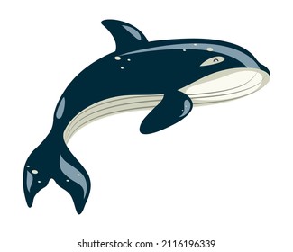 Killer Whale Icon Flat Isolated