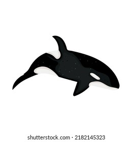 Killer Whale Icon On White Background