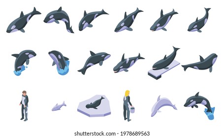 Killer whale icons set. Isometric set of killer whale vector icons for web design isolated on white background