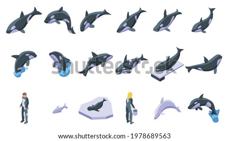 Killer whale icons set. Isometric set of killer whale vector icons for web design isolated on white background