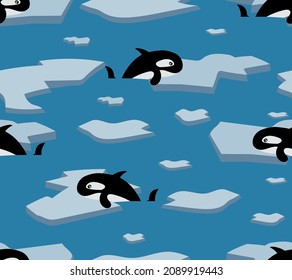 killer whale illustration for t sihirts pattern print