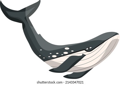 Killer whale, illustration, vector on a white background.