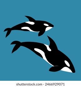 Killer whale illustration, vector, orca, Delphinidae, Odonceti