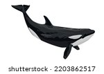 killer whale, isolated object for your design, black and white