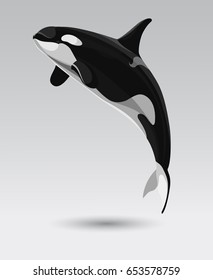 killer whale, isolated object for your design, black and white