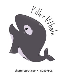 Killer whale isolated. Orca. Orcinus. Large toothed animal. Oceanic dolphin family. Types transients, residents, offshore. Part of series of cartoon northern animal species. Child fun icon. Vector