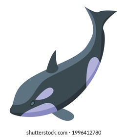 Killer whale jump icon. Isometric of Killer whale jump vector icon for web design isolated on white background