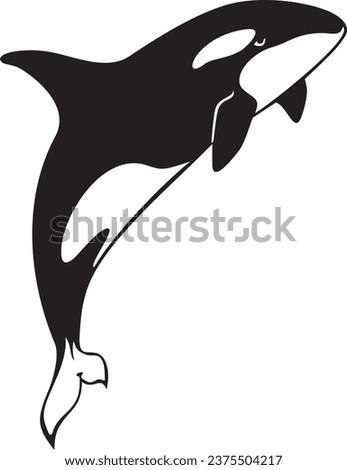 Killer Whale jumping. Orcinus Orca. Vector Illustration.