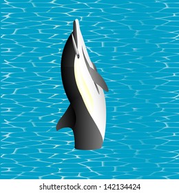 Killer Whale. Killer Whale jumping out from water (Orcinus orca). Killer whales are the dominant predators in the ocean, are easily tamed in captivity