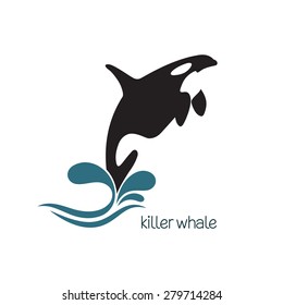 Killer Whale Jumping Out Of Water