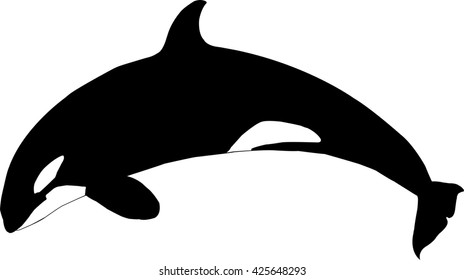 Killer Whale  (Left Facing)