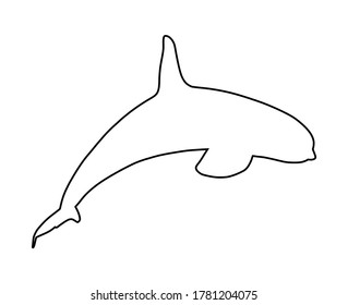 Killer Whale line contour, jumping out of water vector silhouette illustration isolated on white background. (Orcinus Orca). Underwater life. Orca in swimming pool. 