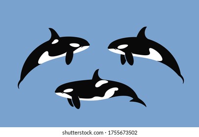 Killer Whale logo. Isolated killer whale on white background