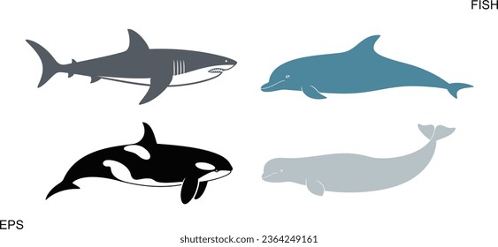 Logo de Killer Whale. Ballena asesina aislada sobre fondo blanco