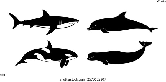 Killer Whale logo. Isolated killer whale on white background