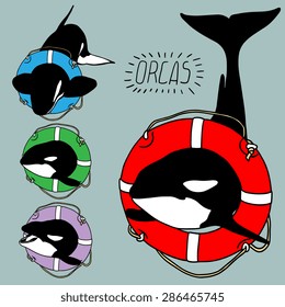 Killer whale logo with saver