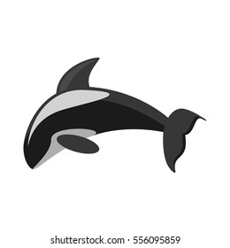 killer whale marine wildlife species vector illustration eps 10
