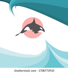 Killer whale In the ocean