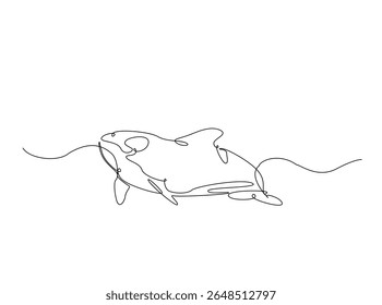 Killer whale in the ocean single outline illustration. Continuous line art drawing of orca killer whale.
