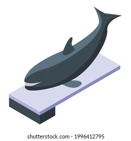Killer whale on springboard icon. Isometric of Killer whale on springboard vector icon for web design isolated on white background