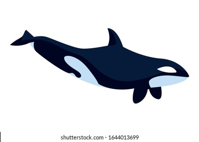 killer whale on a white background vector illustration design