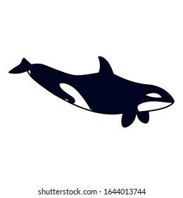 killer whale on a white background vector illustration design