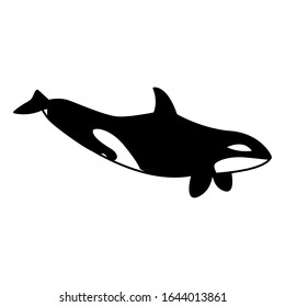 killer whale on a white background vector illustration design