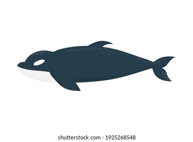 ballena asesina en un diseño de ilustración de vector de fondo blanco